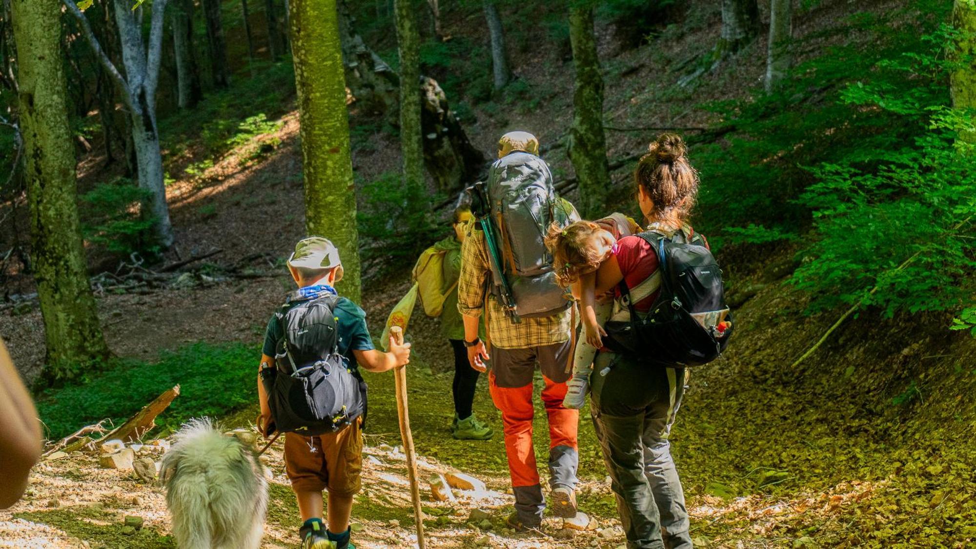 Agriturismo Le Ceregne Bio ピエーヴェ・サント・ステーファノ エクステリア 写真