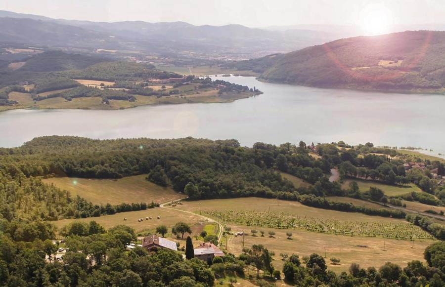 Agriturismo Le Ceregne Bio ピエーヴェ・サント・ステーファノ エクステリア 写真